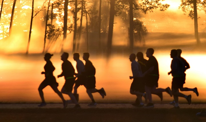 Quel est le meilleur entraînement cardio pour brûler les graisses?