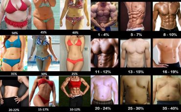 Exemples de bodyfat homme/femme